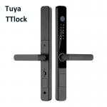 TTlock IP65 Aluminium Door Electric Lock Tempered Glass Automated Front Door Lock for sale