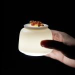 Functional Design 4.7DIAX7”H Ceramic Container With Lid Multifunctional
