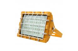 China 2700K - 6500K High Power Explosion Proof Lamp With Mesh Cover IP65 supplier