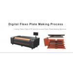 VLF digital computer to flexo plate imaging system for sale