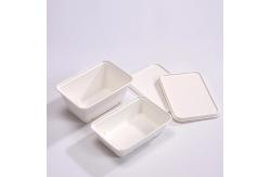 China Microwavable Biodegradable Compostable Lunch Sugarcane Bagasse Box 450ml supplier