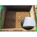 40gsm - 100gsm CAD Plotter Paper Roll For Garment Factory