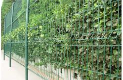 China 2m Tall 50x200mm Galvanized PVC Coated Welded Wire Mesh Fence supplier