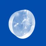 Pore Polishing Quartz Assembly Parts for sale