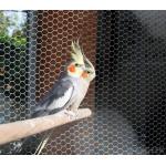 stainless steel 304/316 Aviary mesh for bird cages netting/aviary building for sale