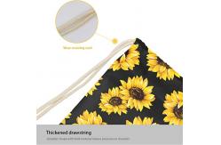 China Durable and Waterproof Lager Capacity Drawstring Bag Backpack supplier
