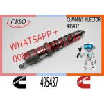 Diesel Engine Part Excavator Fuel Injector 432678 495437 4077076 4902817