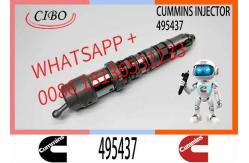 China Diesel Engine Part Excavator Fuel Injector 432678 495437 4077076 4902817 supplier