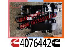China Diesel Engine Fuel System Parts QSC8.3 Fuel Pump 4076442  2791667 supplier