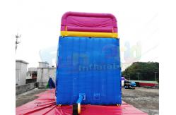 China Waterproof Commercial Inflatable Slide / Nemo Inflatable Dry Slide supplier