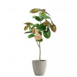 180cm Colorful Heart Shape Artificial Potted Floor Plants Indoor Decor Ficus Tree for sale