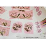 UV Laser Automatic Screen Exposing Machine 2540dpi Textile Decal for sale