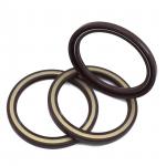 High Temperature Resistant Skeleton Oil Seal 80*100*7 TCV FKM