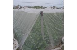 China Lightweight And Breathable Garden Netting Easy To Install For Vegetable Beds supplier