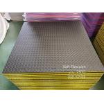 Puzzle Martial Arts Mat Judo Mat Taekwondo Mat Tatami Tatami 4CM EVA for sale