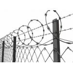 Concertina Barbed Wire with Galvanized Zinc Coated Chain Link Fence for High Security for sale