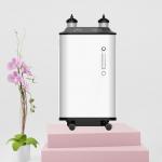 1l 5l 10l Household Oxygen Generator Medical Home Care Physical Therapy for sale
