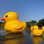 Custom Floating Airtight Inflatable Yellow Duck Giant Rubber Duck For Advertising for sale