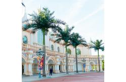 China 4m Artificial Landscape Trees Coconut Palm Tree Outdoor Decoration supplier