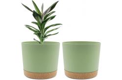 China Indoor Plastic Green Plant Pots With Drainage Holes And Removable Base supplier