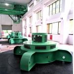 Customizable Kaplan Hydro Turbine Generator High Frequency 1-Year for sale
