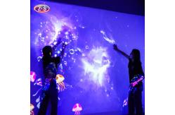 China Immersive Visual Universe Holographic Immersive Projection for Public Venues supplier