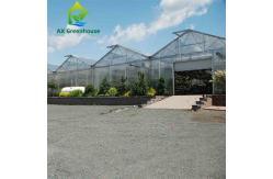 China Agricultural Farm Plant Vegetable PC Sheet Greenhouse With Ventilation System supplier
