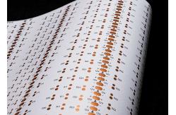 China HOT  sales FPCB 2835,60led/m ,size:8*503mm,12V double-sided Board white film FPCB for led strip FPCB Board supplier