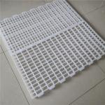 100% Pure PP Broiler 40mm Slatted Floor System In Poultry for sale