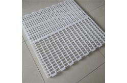 China 100% Pure PP Broiler 40mm Slatted Floor System In Poultry supplier