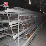 3 Tiers 4 Tiers Layer Chicken Battery Cage In Poultry Farm A Type for sale