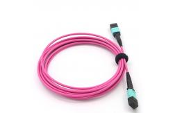China Multimode OM4 Magenta Mpo Optical Cable 2m 850nm 12 Core supplier