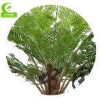 Realistic HAIHONG 230cm Height Artificial Tropical Tree For Theme Park