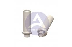 China All Plastic Castable Abutment supplier