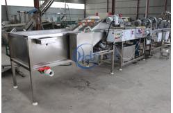 China Automatic Ozone Air Bubble Vegetable Washing Machine For Tomato Celery Salad supplier