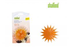 China Scented Starfish Concentrated Air Freshener With Stick on Windows supplier