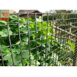 Customized Color Plastic Plant Support Mesh / Garden Net For Climbing Plants for sale