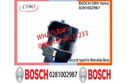 China BOSCH DRV Valve 0281002987 Control Valve 0281002987 for BENZ supplier
