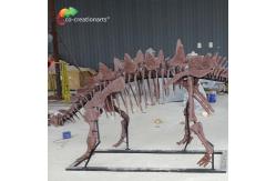 China ISO Zigong Real Size Dinosaur Skeleton Replica For Museum Exhibition supplier
