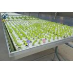 Flood Water Drain Grow Ebb And Flow Rolling Benches ABS Tray Hydroponic Planting Equipment for sale