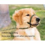 Mesh Dog Leash Training Dog P Chain Flush Adjustable Dog Leash