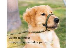 China Mesh Dog Leash Training Dog P Chain Flush Adjustable Dog Leash supplier
