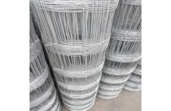 China 1.5M Galvanized Cattle Panels , Metal Livestock Panels For Farm supplier