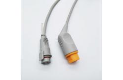 China 3.0m 10 Pin ED Transducer Siemens IBP Adaptor Cable supplier