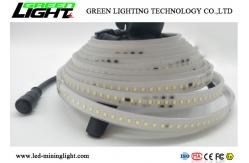 China 10m SMD5050 LED Flexible Strip Lights IP68 Temperature Regulation Protection supplier