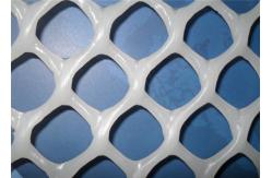 China 1.2cm Plastic Mesh Netting Hexagonal Hole Aquaculture Flat Breed supplier