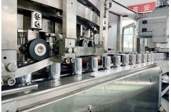 China 250ml Liquid Beer Sparking Wine Carbonated Filling Capping Machine SUS304 supplier