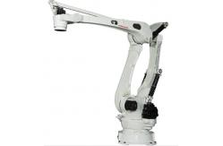 China 12KW Industry Robot Arm RD080N Automation Robotics Arm For Palletizer Consumer supplier