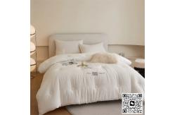China Cotton Winter Quilt Double Thick Spring And Autumn Quilt supplier