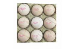 China Usb Flash Automatic Egg Stamping Machine Label Logo Print For Egg Owner supplier